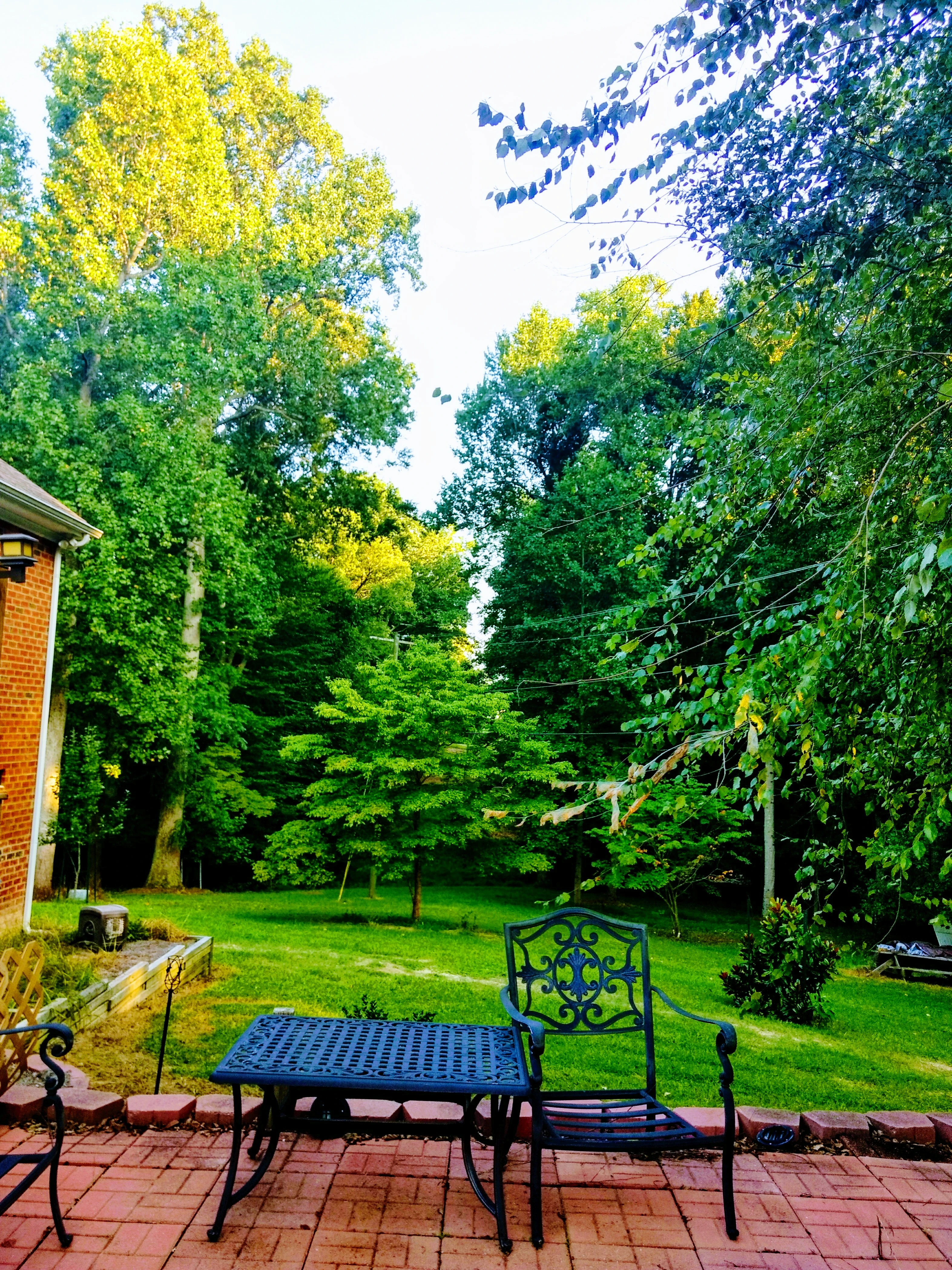 East Dallas ADU landscaped backyard integration view